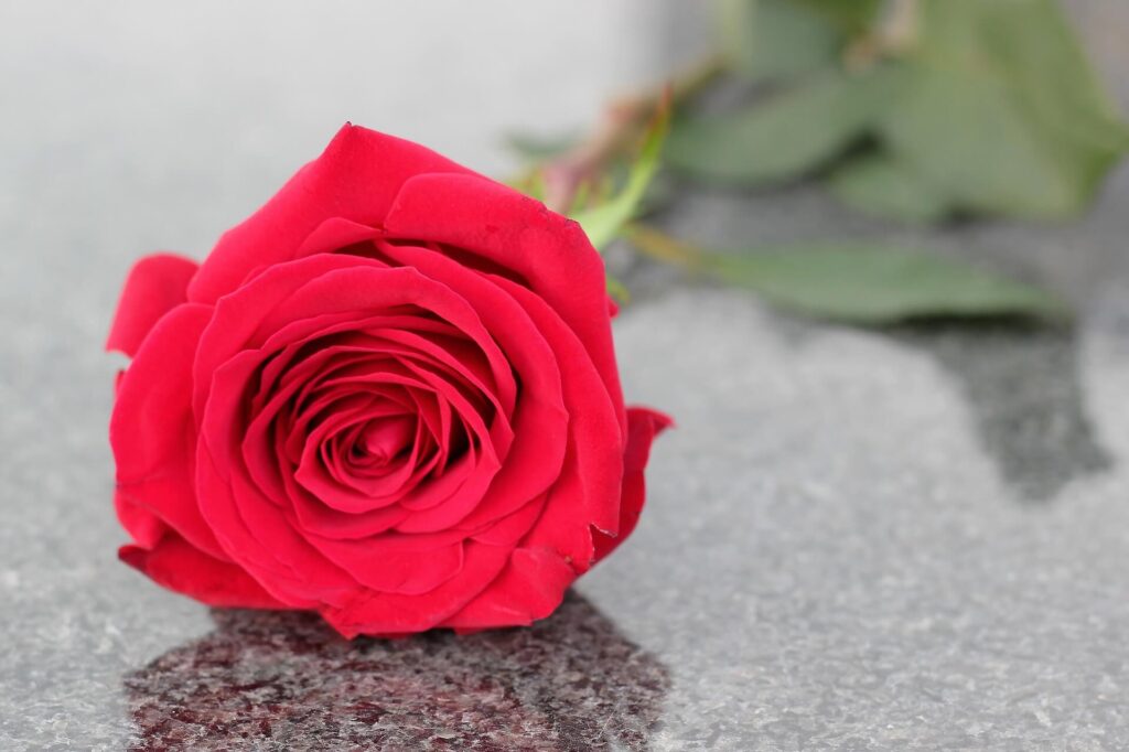 Róża zakład pogrzebowy